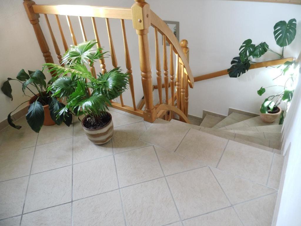 Ferienwohnung-Mund Dresde Exterior foto